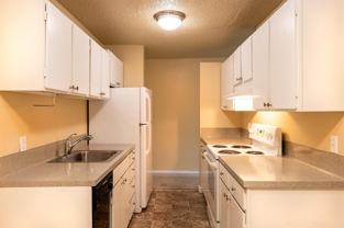 Four Seasons - Photo 1 of 1