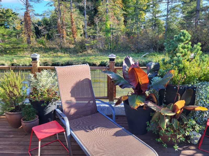 7378 Birch Bay Dr #A - Photo 7 of 20