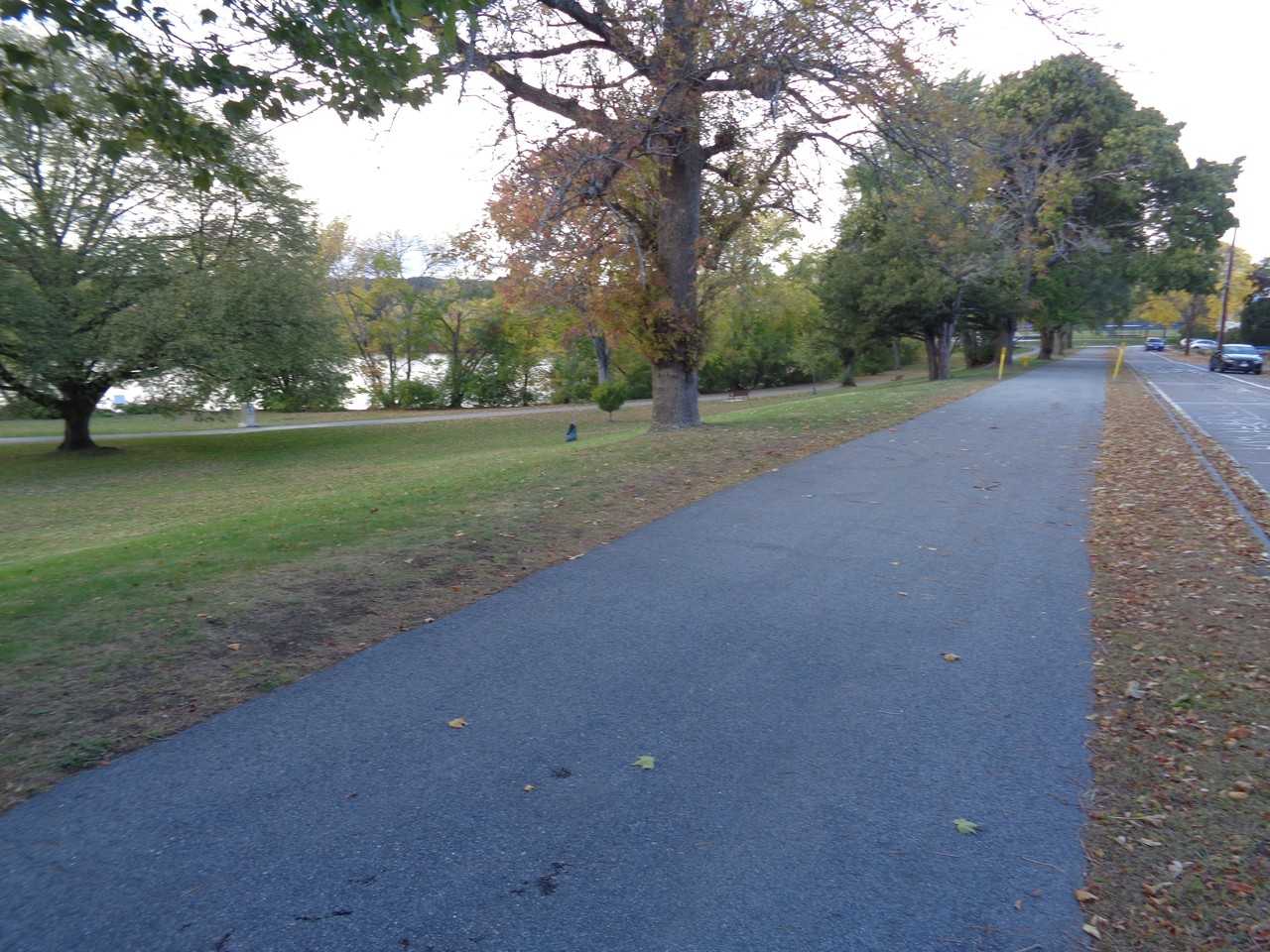 Underwood St 1, Belmont, MA 02478 1 Bedroom Apartment for Rent