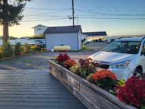 7398 Birch Bay Dr - Photo 1 of 1