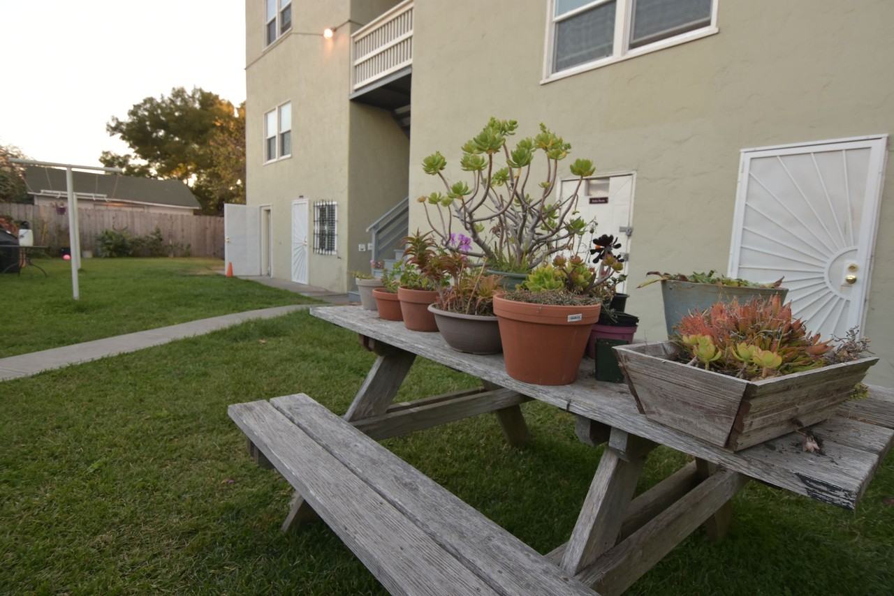 The Patricia Apartments - Photo 5 of 14