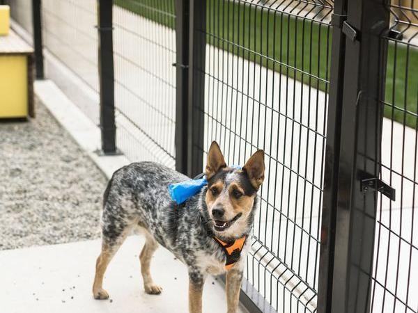 19888 40th Ave W - Photo 7 of 37