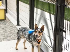 featured image of 19888 40th Ave W