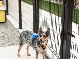 19888 40th Ave W - Photo 1 of 1