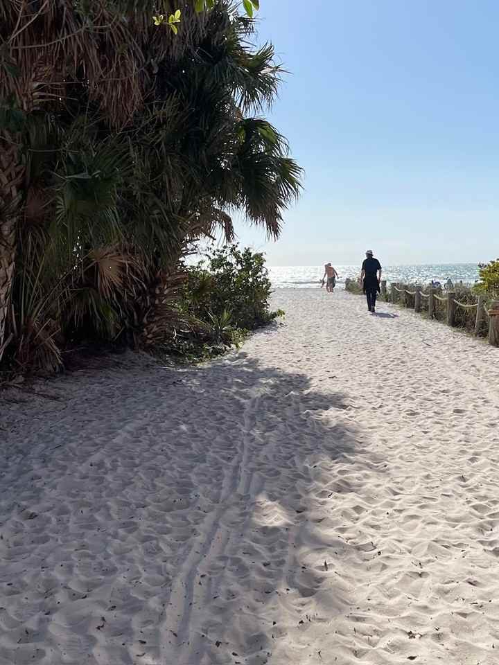 6446 Elmwood Avenue #2 - Photo 4 of 30