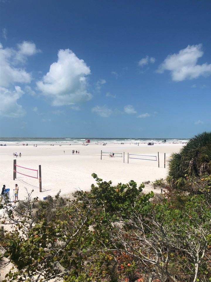 6446 Elmwood Avenue #2 - Photo 5 of 30