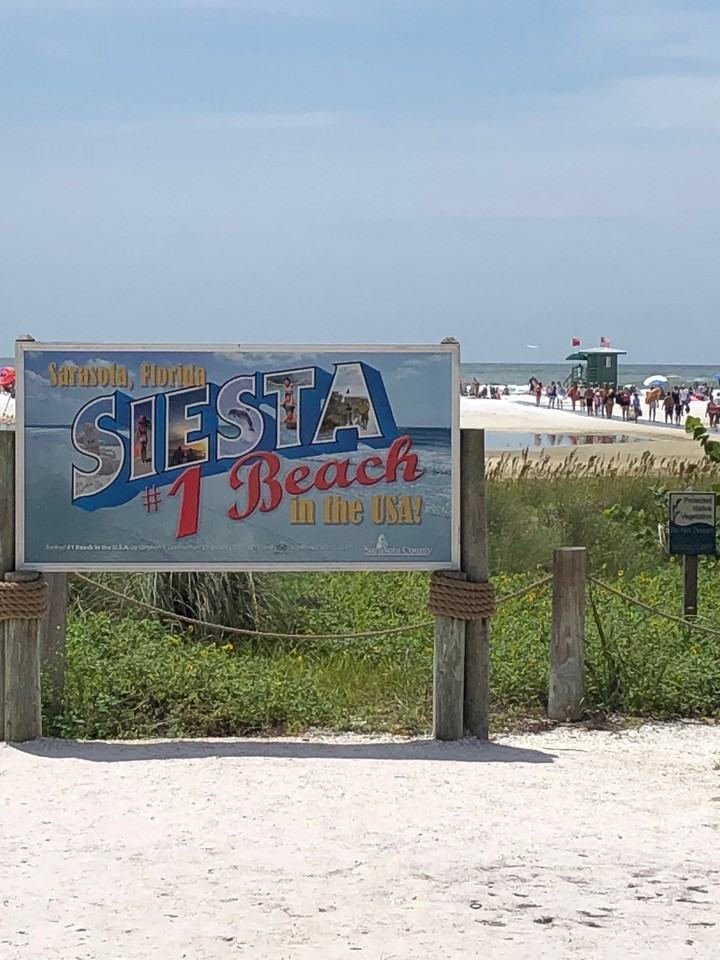 6446 Elmwood Avenue #2 - Photo 6 of 30