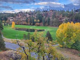 featured image of 314 N Tamarron Dr #224