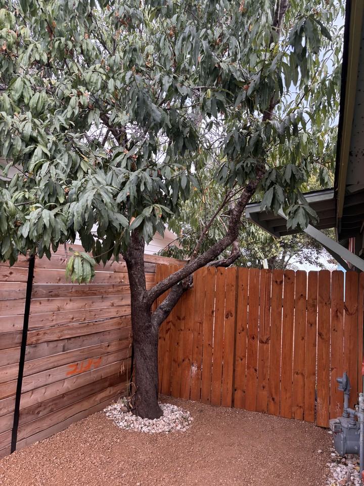 1163 Nickols Ave - Photo 4 of 26