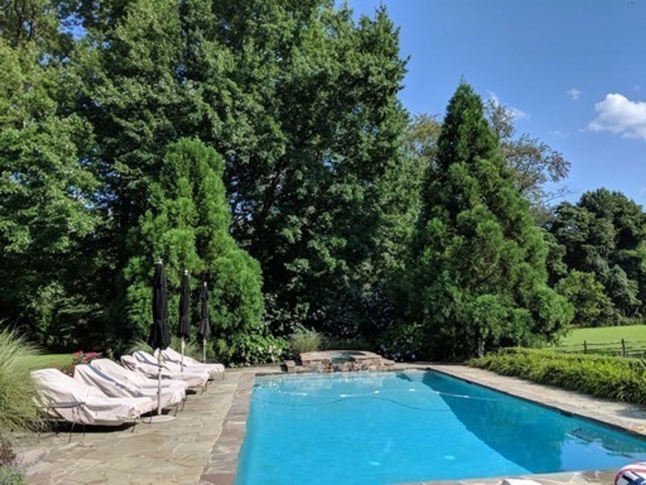 Harmony Farm - Photo 2 of 8