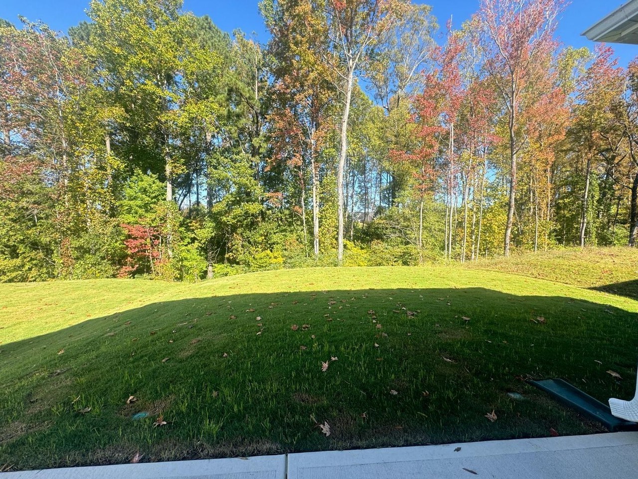 210 Palm Dr - Photo 3 of 20