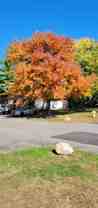 Waterbury Estates - Photo 1 of 1