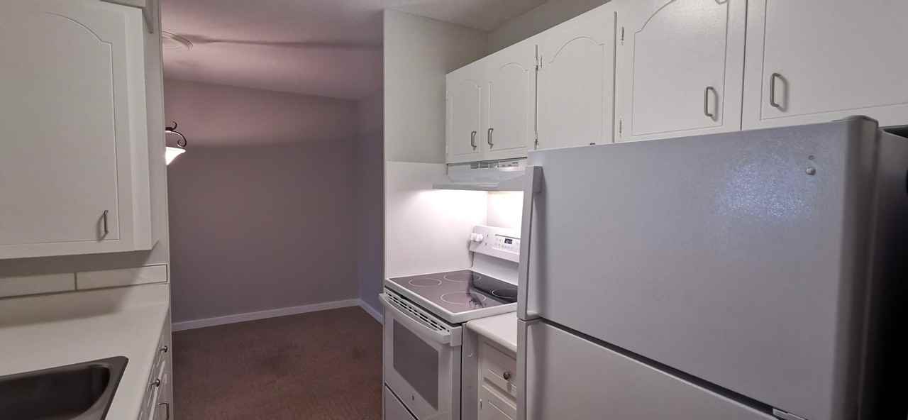 2040 White Birch Rd #210 - Photo 7 of 15