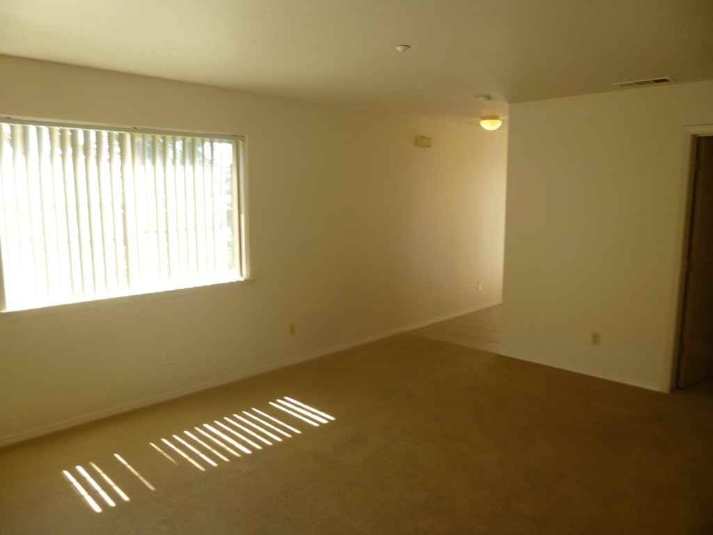 goo101 - Photo 3 of 29