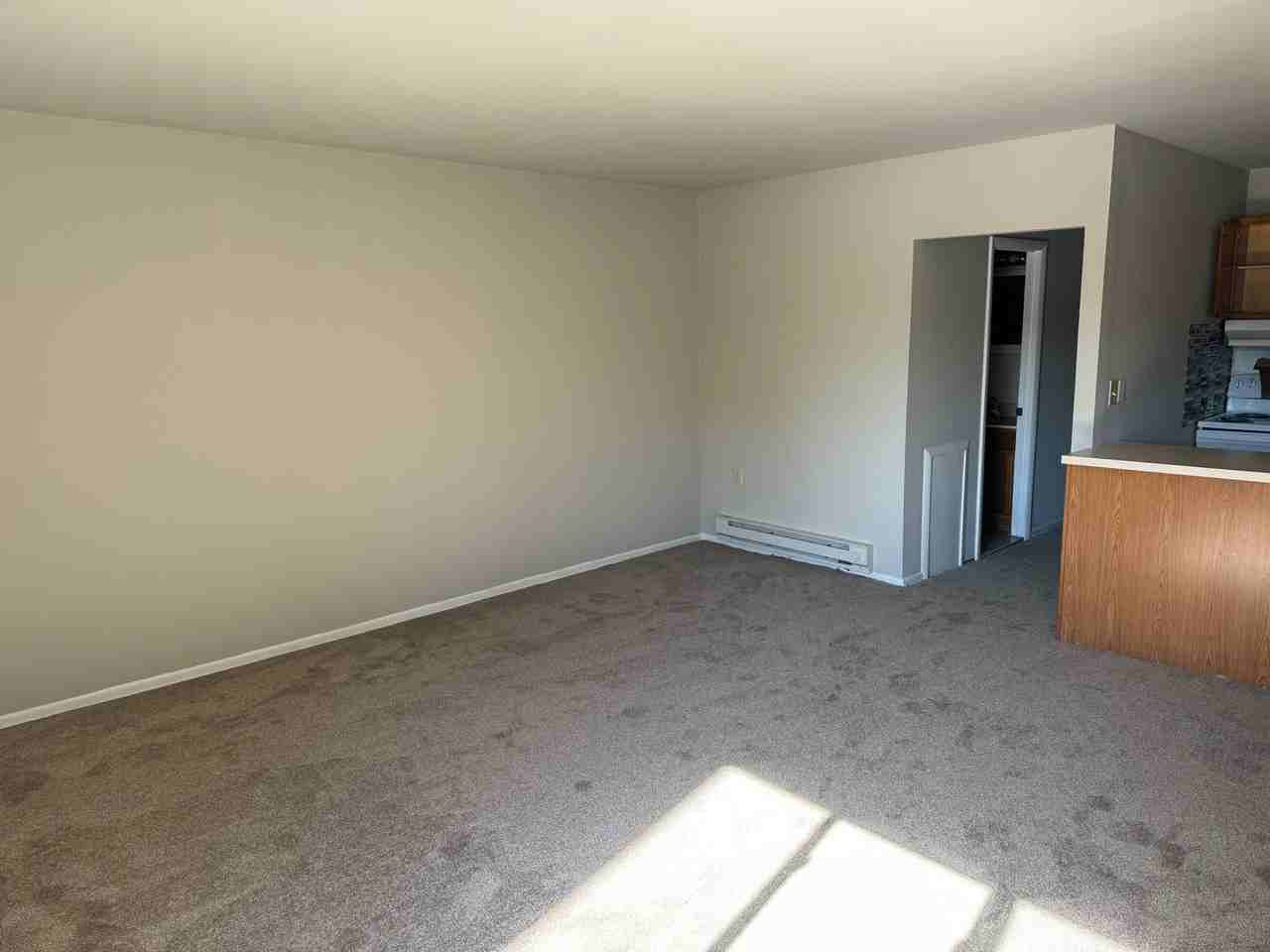 203 E Chestnut Street - Photo 2 of 9