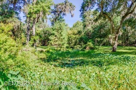 23291 Lake Lindsey Rd - Photo 3 of 14