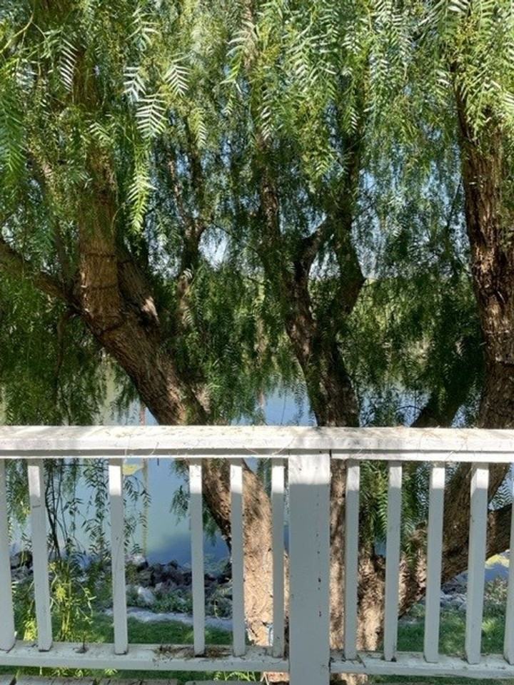 3409 Snug Harbor Dr - Photo 2 of 14