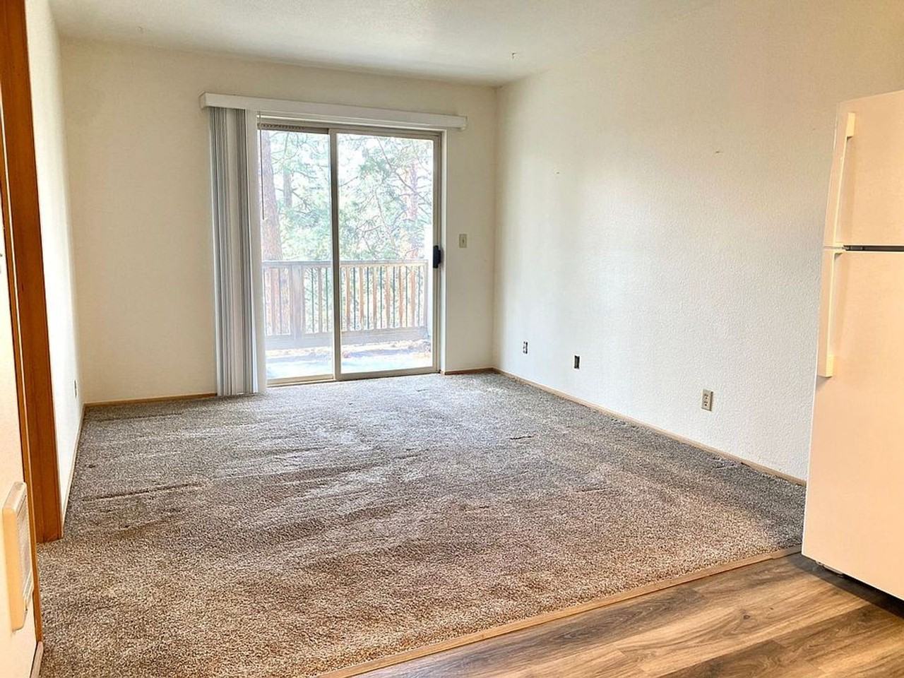 P1565 - Photo 4 of 9