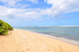 featured image of 68 Waikalua Road