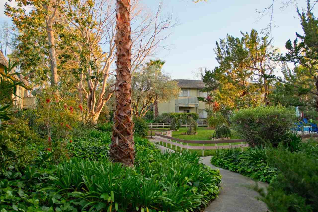 Olive Tree Apartments - Photo 2 of 8