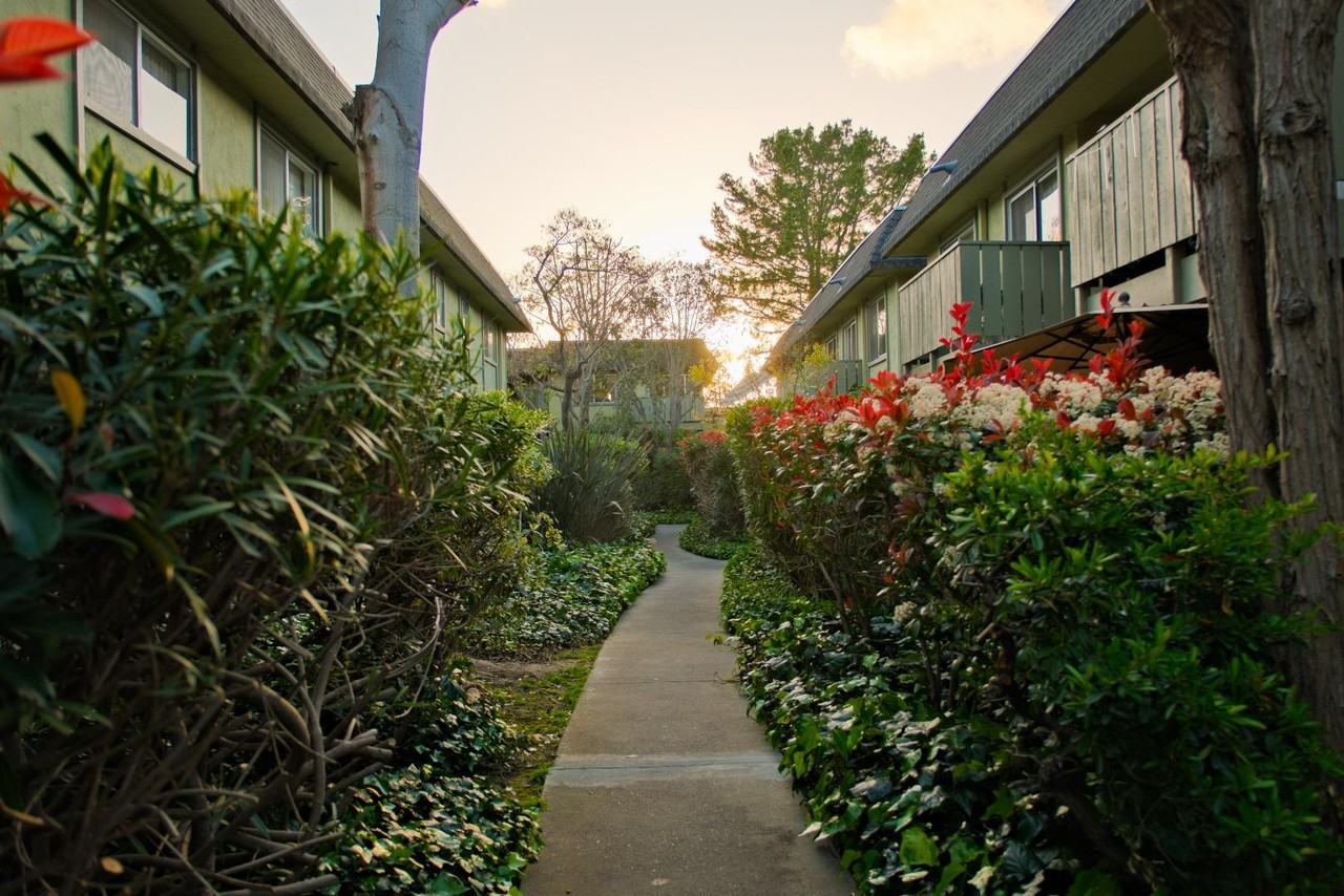 Olive Tree Apartments - Photo 3 of 8