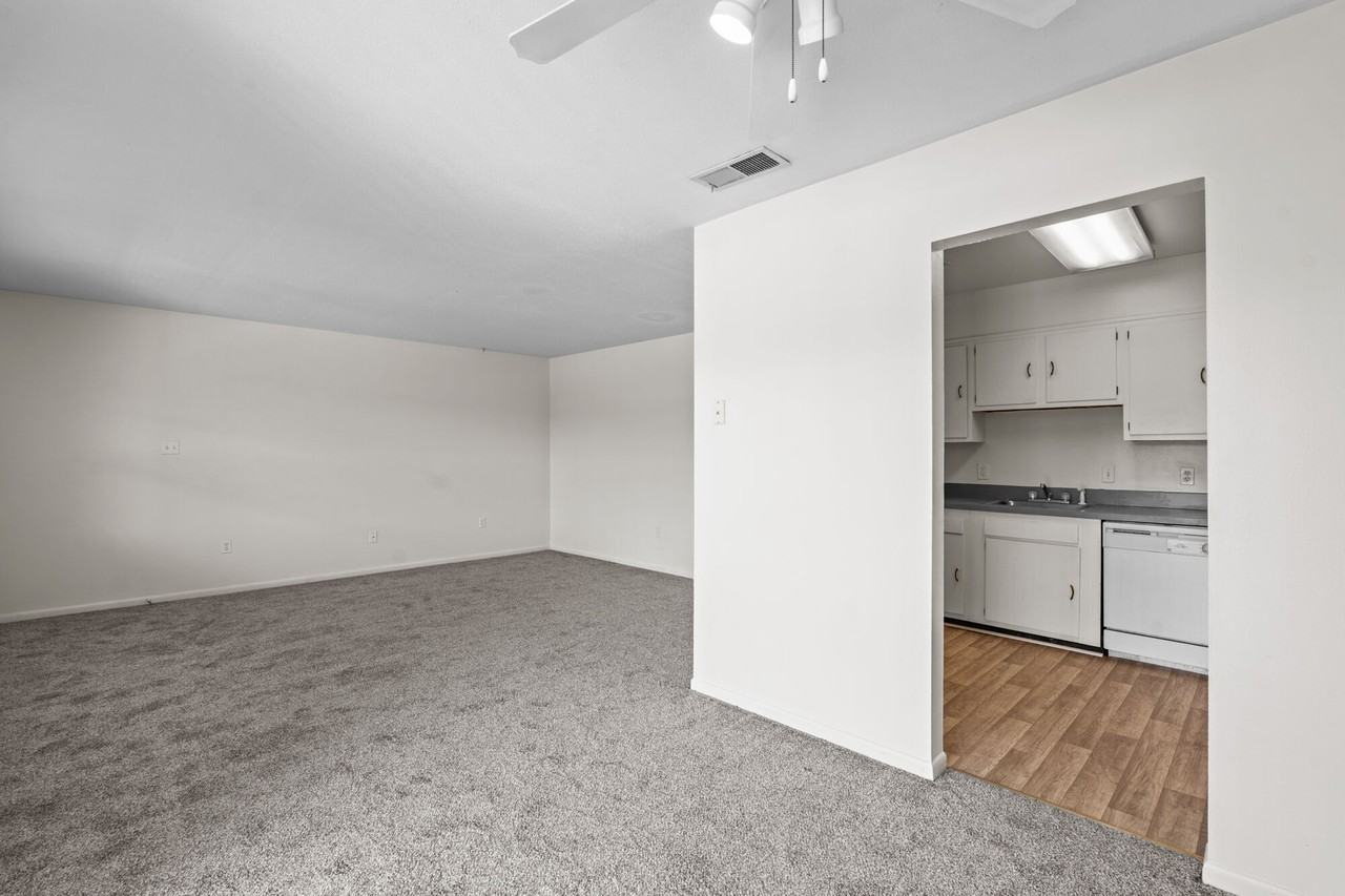 Falcon House - Photo 4 of 33