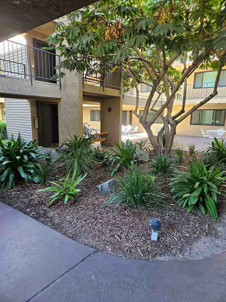 Georgia Regency Senior Apartments - Photo 6 of 9