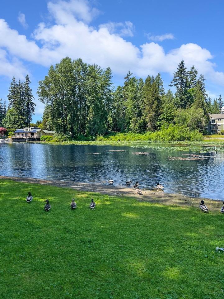 Lakeside Apartments - Photo 6 of 17