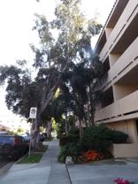 CORINTH AVENUE APARTMENTS - Photo 1 of 1