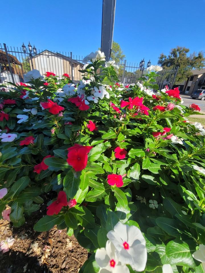 The Village Residences - Photo 3 of 50