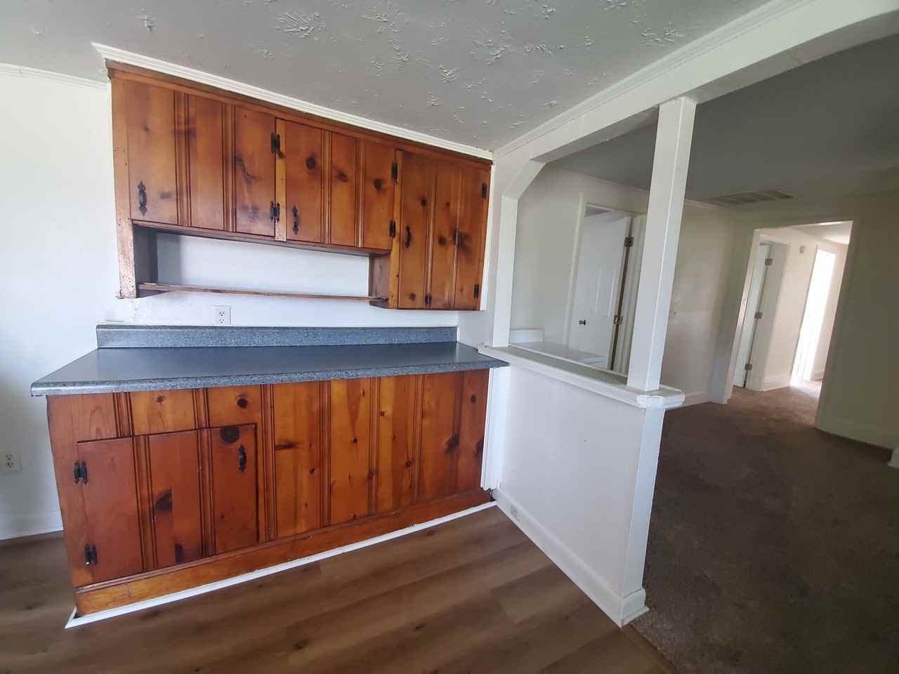 1134 Lacy Crumpler Ln - Photo 3 of 14