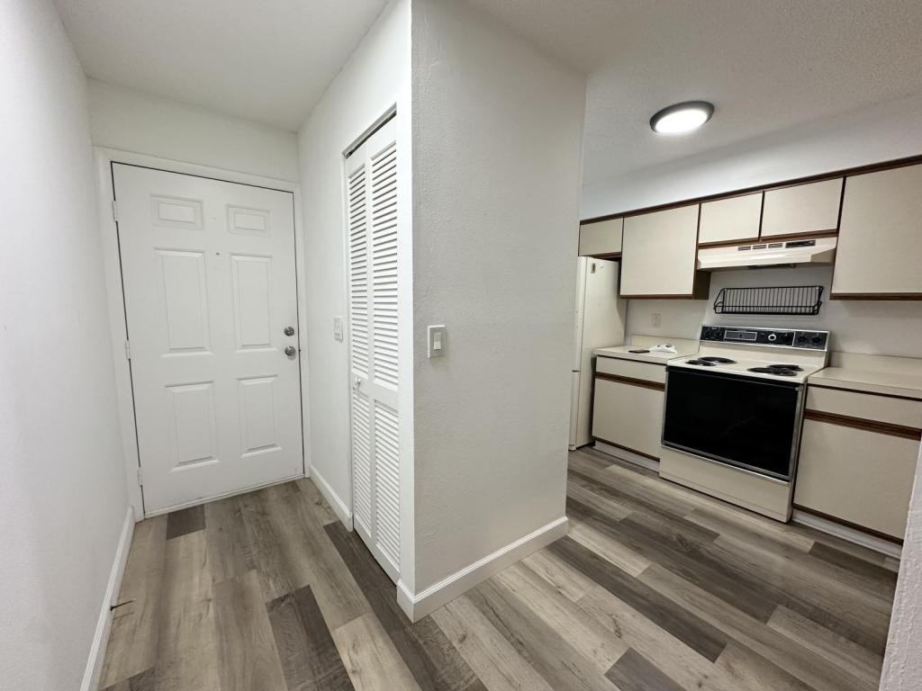 6532 Spring Flower Dr - Photo 2 of 13