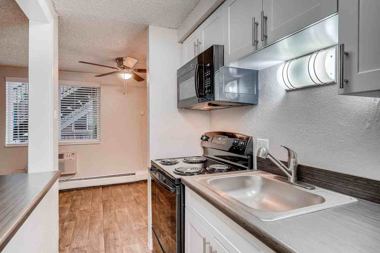 Estrella - Photo 3 of 40