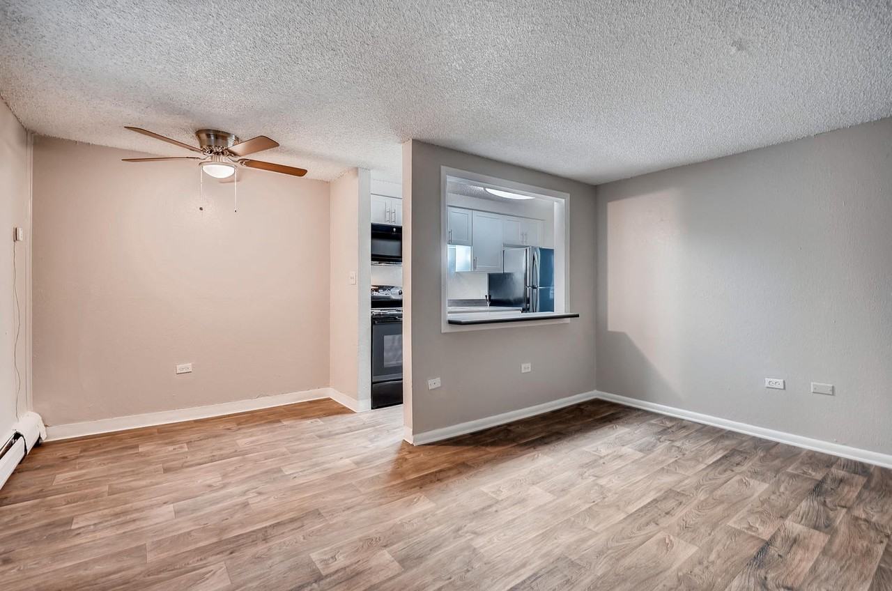 Estrella - Photo 4 of 40