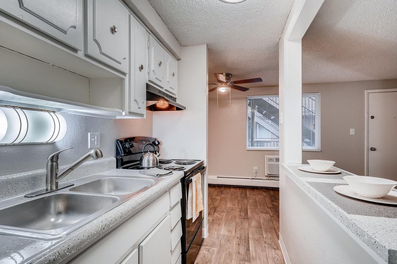 Estrella - Photo 5 of 40