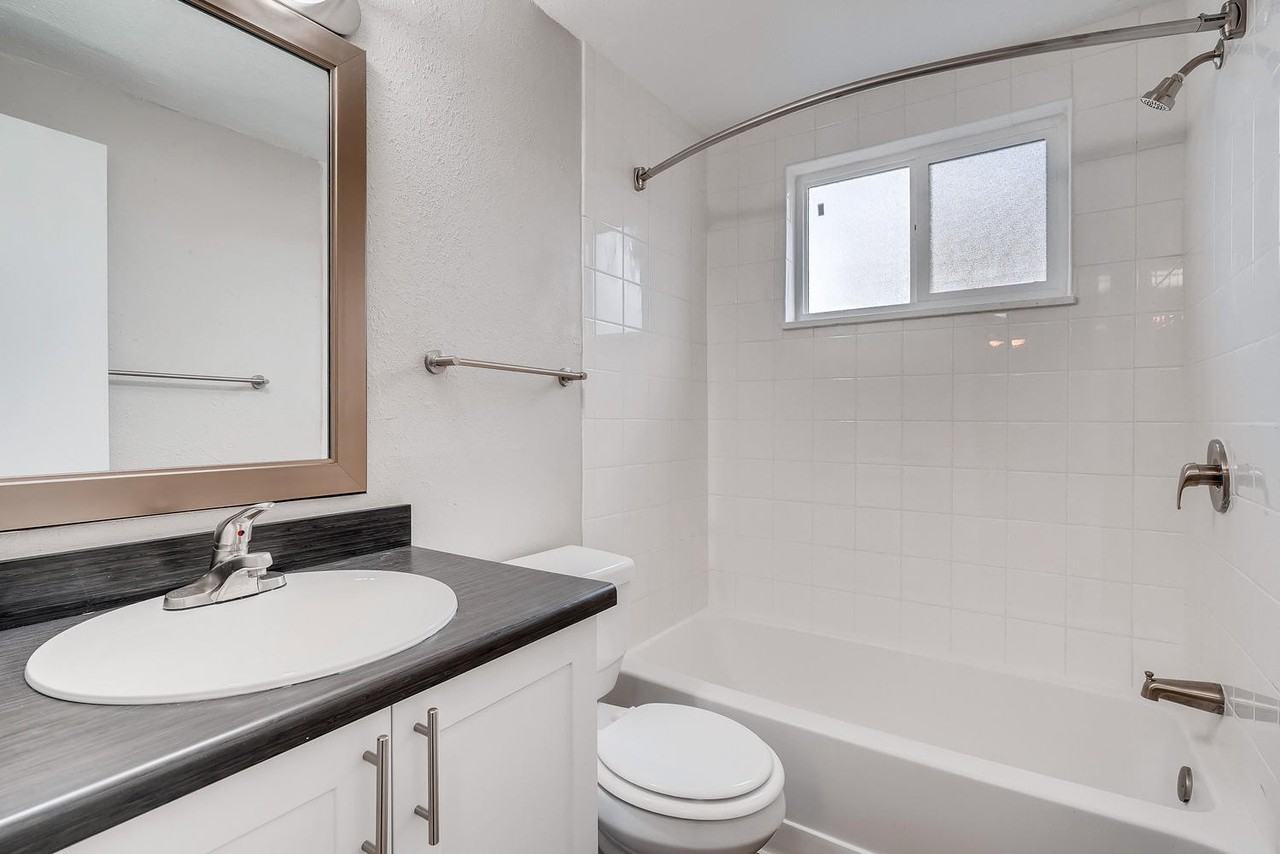 Estrella - Photo 6 of 40