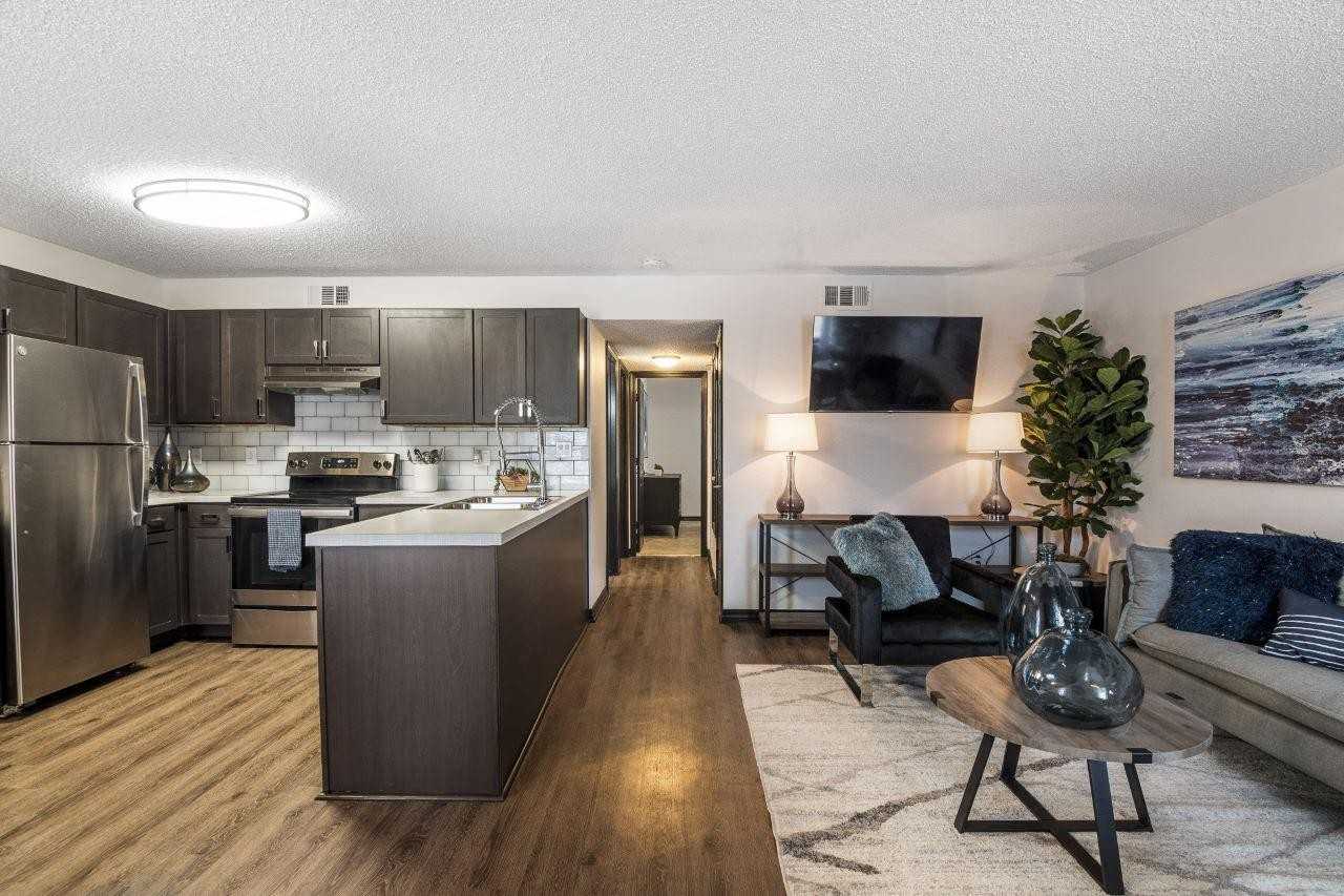 The Lorient - Photo 5 of 18