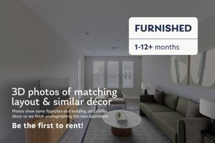 1000 Lupine - Photo 1 of 1