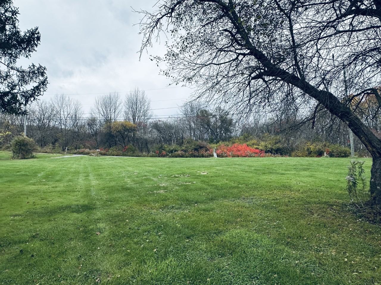 3850 Miller Rd #1 - Photo 2 of 3