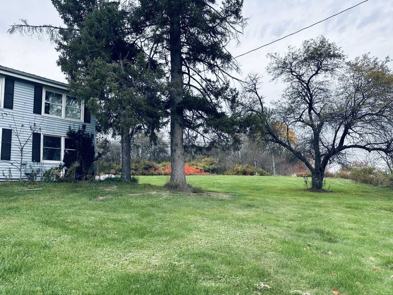 3850 Miller Rd #1 - Photo 3 of 3