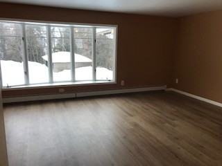 915 7th Ave #4 - Photo 3 of 14
