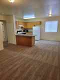 Sagebrush - Photo 1 of 1
