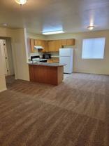 Sagebrush - Photo 1 of 1