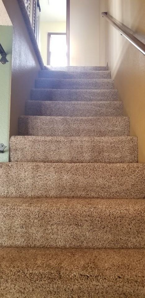 519 Wildwood Rd - Photo 5 of 17