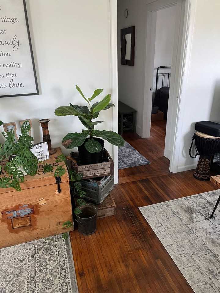 1091 Windermire St - Photo 4 of 13