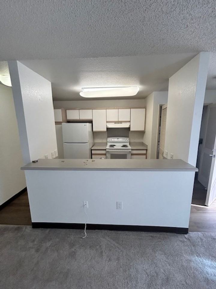 ML061. Common. Caroline Rodriguez - Photo 3 of 22