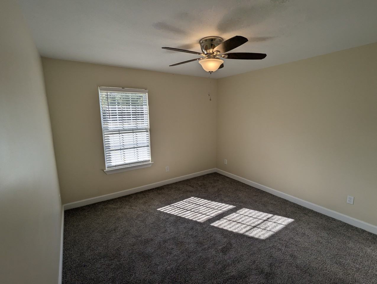 210 Peter King Rd - Photo 3 of 13