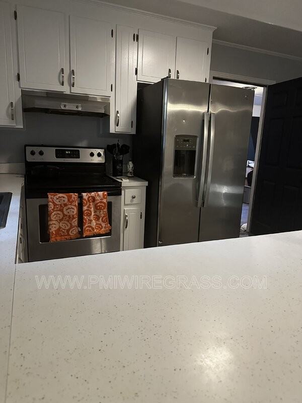 203 Meadowbrook Dr - Photo 4 of 29