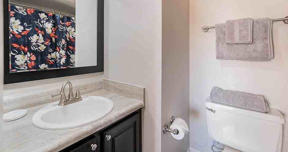 River Vista Apartments - Photo 7 of 29