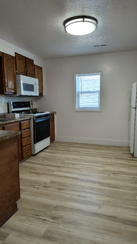 207 E Mechanic St - Photo 2 of 8